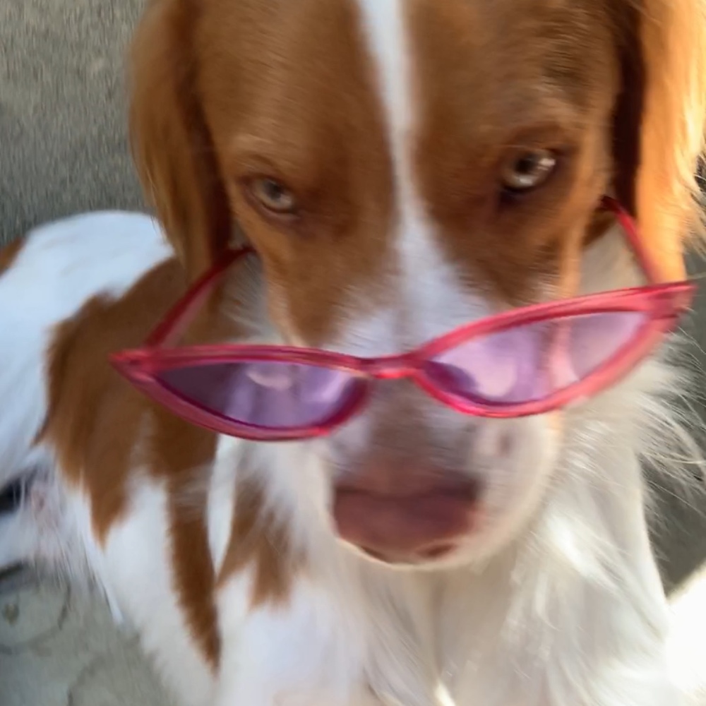 Meet your Posher, Hayley